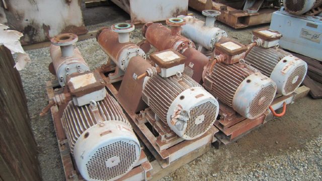 Leistritz Oil Pumps      PE39