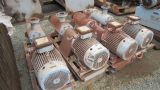 Leistritz Oil Pumps      PE39